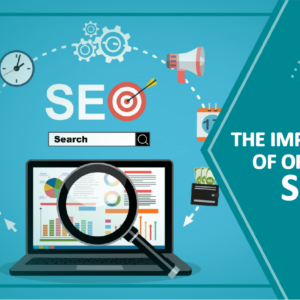 Enterprise / Ecommerce Off-Page SEO Package USA