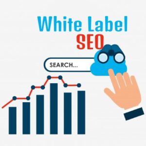 Standard White Label SEO Package USA
